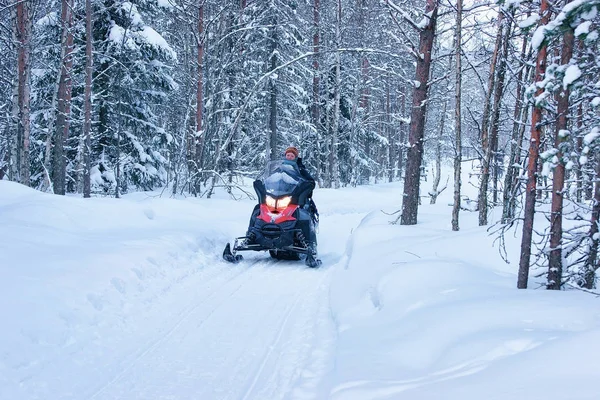 Γυναίκα, ιππασία snowmobile στο δάσος του χειμώνα Ροβανιέμι Φινλανδία — Φωτογραφία Αρχείου