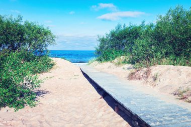 Patika kumul Palanga tatil Baltık denizde aracılığıyla