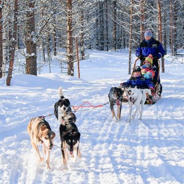 Lapland kış Fin ormandaki Husky kızak sürme aile