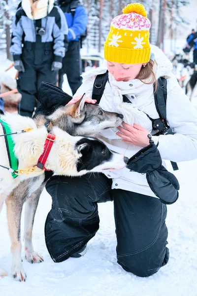 女の子とハスキー犬のフィンランドのラップランドの冬のフィンランドの森 — ストック写真