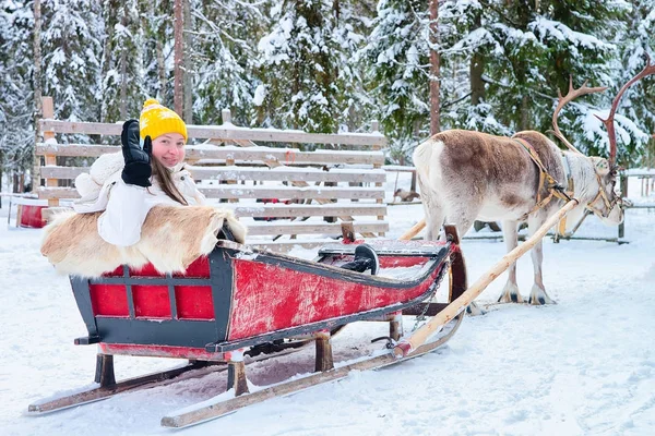 Chica montando Reno trineo en invierno Rovaniemi Laponia —  Fotos de Stock