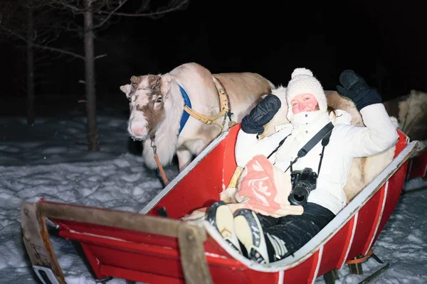 Menina equitação Rena trenó no inverno noite Rovaniemi — Fotografia de Stock