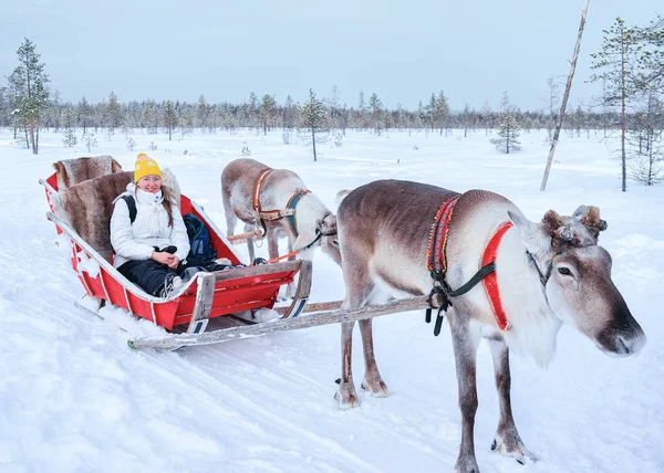 Dziewczyna konna renifer sanki zimą Rovaniemi — Zdjęcie stockowe