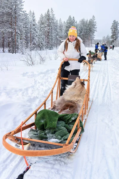 Vrouw rijden in husky honden slee in Rovaniemi bos — Stockfoto