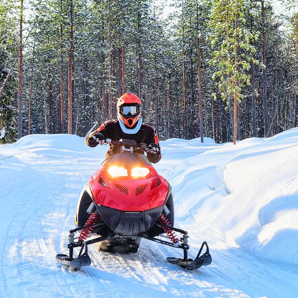 Kadın kırmızı kar arabası donmuş gölde kış Rovaniemi sürme. — Stok fotoğraf