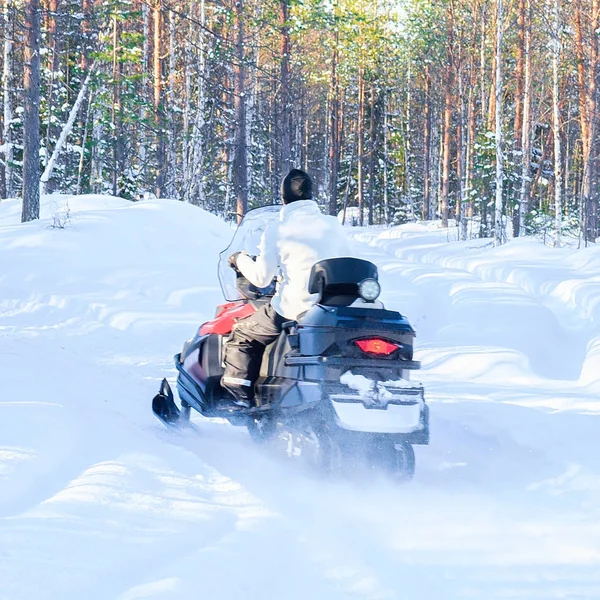 Mujer montando moto de nieve en el bosque en invierno Rovaniemi —  Fotos de Stock