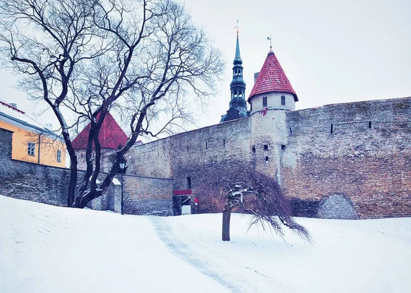 Murallas defensivas y la torre de la iglesia de San Nicolás en Tallin —  Fotos de Stock