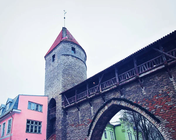 Оборонительные стены и башня Старого города Таллинна — стоковое фото
