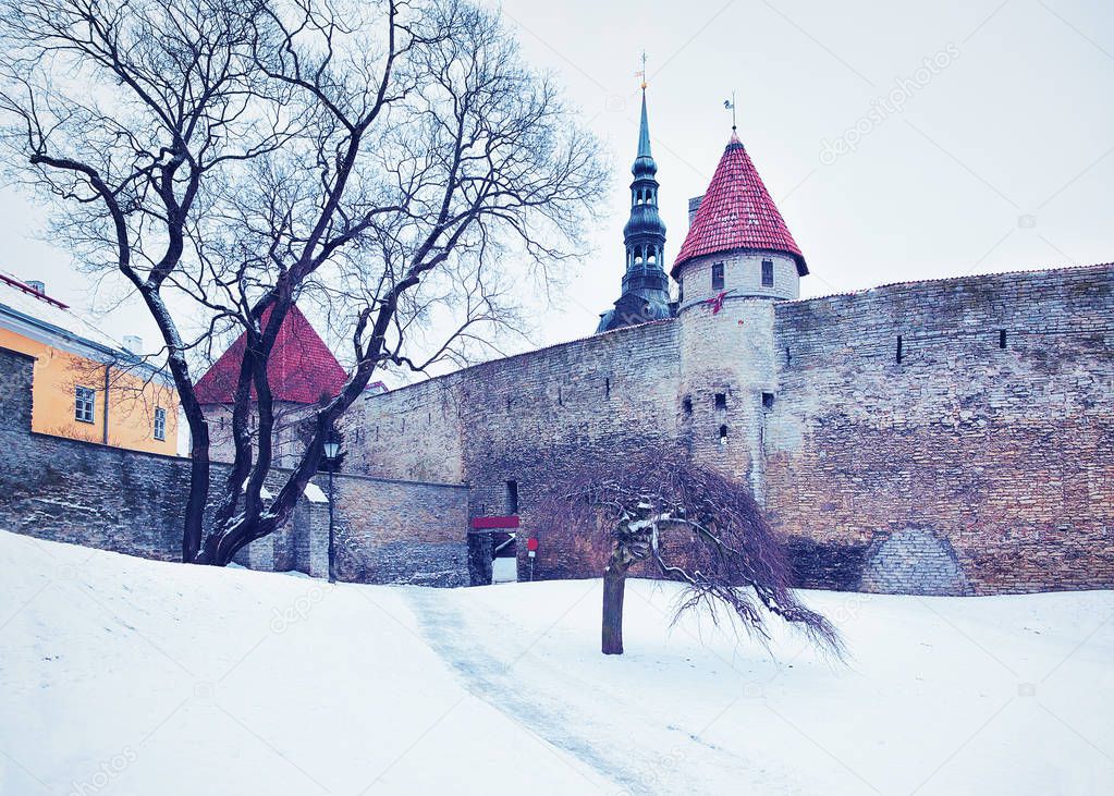 Defensive walls and Spire of St Nicholas Church at Tallinn