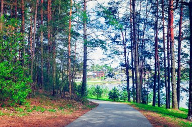 Geçit Druskininkai çam ormanında