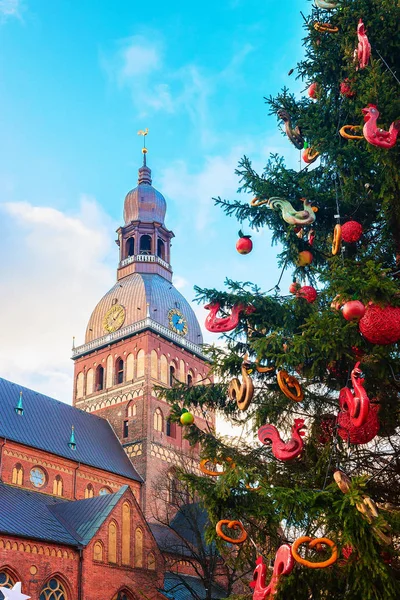 Kupole katedrály a vánoční strom v zimě Riga Old Town — Stock fotografie