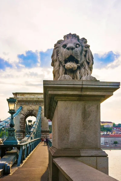 Löwenskulptur auf szechenyi kettenbrücke budapest ungarisch — Stockfoto