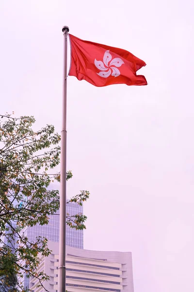 Hong Kong bayrağı sis sırasında — Stok fotoğraf