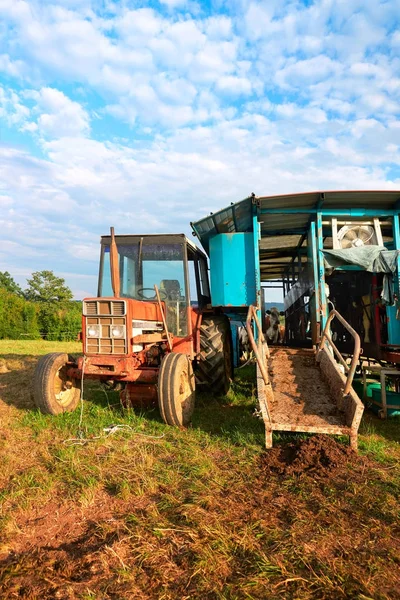 Traktor og melkerom på beite – stockfoto