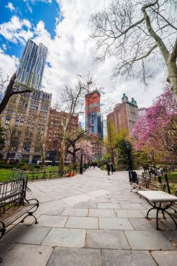 Aşağı Manhattan NYC City Hall Park banklar
