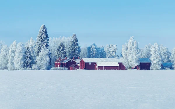 Cottage no campo de inverno no dia ensolarado da Lapônia — Fotografia de Stock