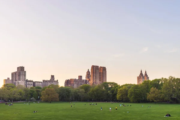 Green lawn et Manhattan skyline à Central Park West NYC — Photo