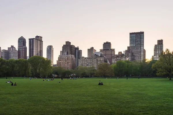 Manhattan and green lawn in Central Park West NYC — Stock Photo, Image