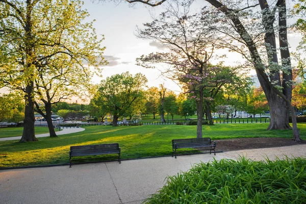 Лавки поблизу шлях у National Mall парку Вашингтон нас — стокове фото