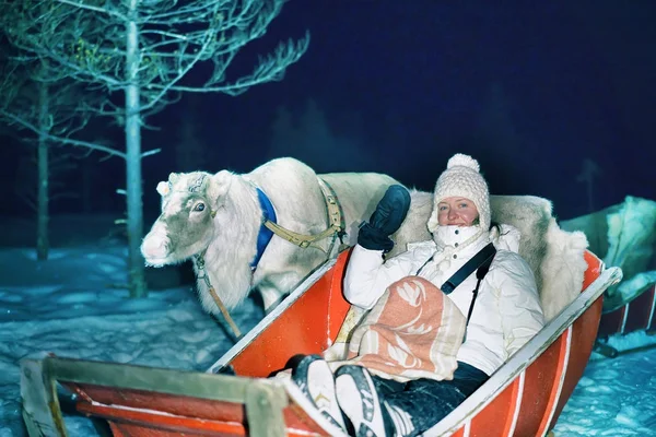 Ragazza in slitta renna di notte safari foresta Rovaniemi — Foto Stock