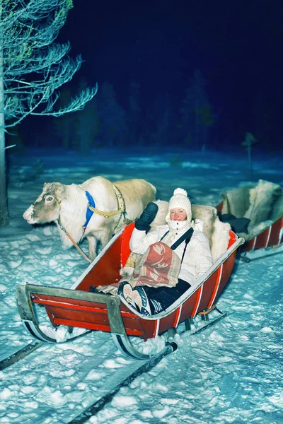 Girl with reindeer sleigh at night safari forest Rovaniemi