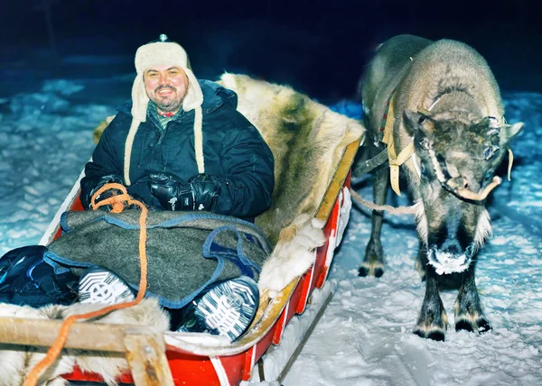 Hombre con trineo de renos en el bosque de safari nocturno Rovaniemi —  Fotos de Stock