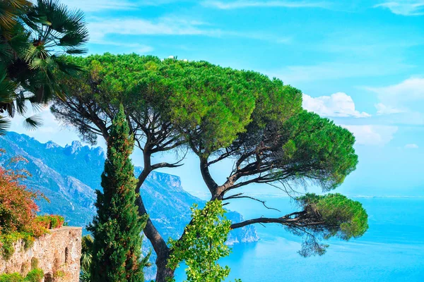 Paesaggio con alberi in paese Ravello — Foto Stock