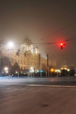 Viyana müze bölgesi sis ve gece Avusturya