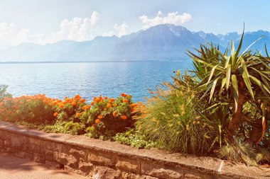 Cenevre Gölü yaz Montreux Riviera mesire bankta