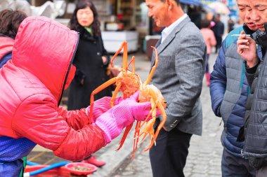 Gösterilen satıcı Jagalchi Busan balık pazarında müşteriler kasık biti.
