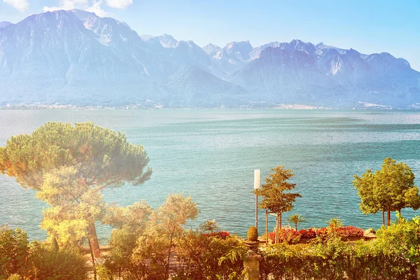 A Genfi tó Montreux Riviera Svájc sétányon virágzó növények — Stock Fotó