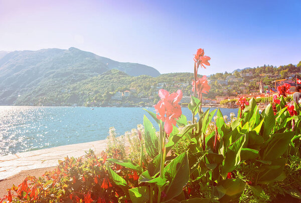 Flowers at the Embankment of the luxurious resort in Ascona on Lake Maggiore in Ticino canton in Switzerland. Summer. Sunlight toned