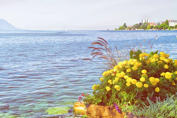 Bunga mekar di tanggul musim panas Danau Jenewa Montreux — Stok Foto