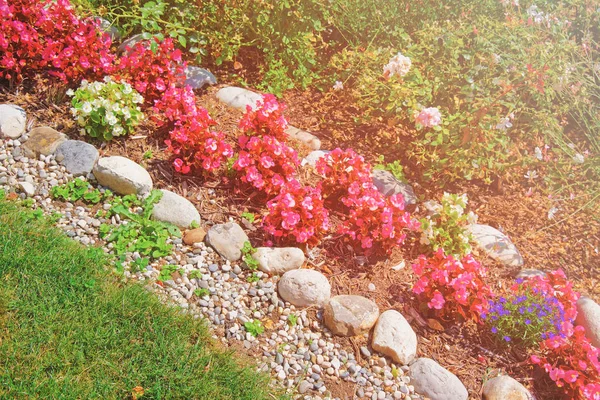 Flores decorativas en el patio interior de Yverdon en Suiza verano — Foto de Stock