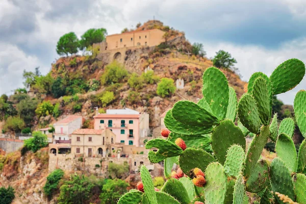 Hermoso paisaje con planta de cactus y pueblo de Savoca — Foto de Stock