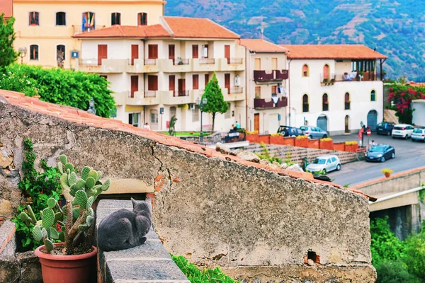 Beau paysage urbain avec chat et village de Savoca — Photo