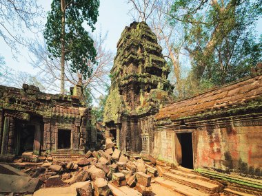 Ta Prohm Tapınağı karmaşık Siem Reap