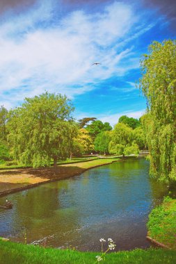 Göl Kent bahar Leeds Castle civarındaki