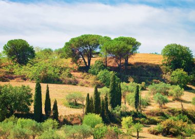 Enna eyaletinde Sicilya ormanla manzara