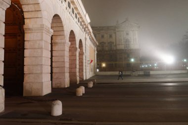 Gate yakınındaki Viyana'daki Hofburg Sarayı sis akşam