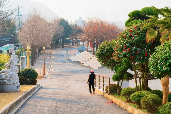 Kobieta w Yongdusan Park w Busan — Zdjęcie stockowe