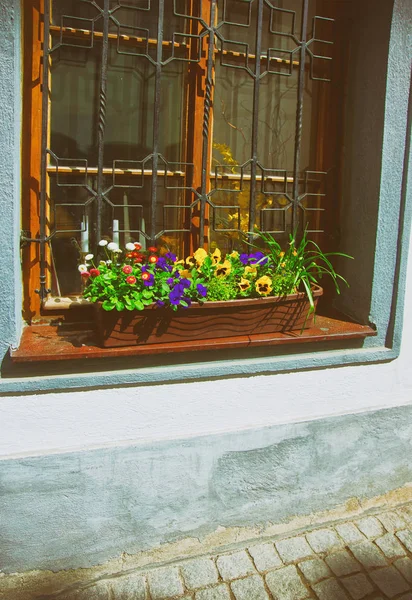 Janela com flores no centro da cidade velha Primavera Cesky Krumlov — Fotografia de Stock