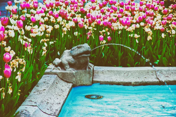 Fragment of Kronthal water fountain Marcinkowski Avenue in Poznan — Stock Photo, Image