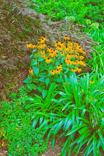 Bloemen botanische tuin aan promenade in Lugano Zwitserland — Stockfoto