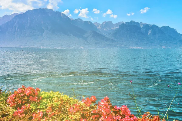 Λουλούδια που ανθίζουν ανάχωμα της Γενεύης στο Montreux — Φωτογραφία Αρχείου