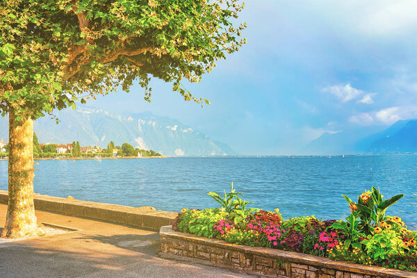 Flowerbed Geneva Lake in Vevey Swiss Riviera