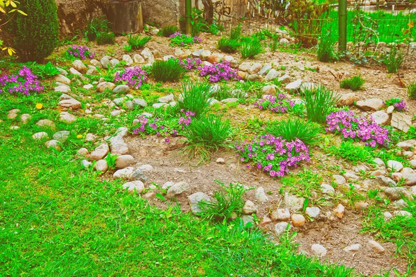 Primavera flores florecientes Traku Voke parque público Vilnius — Foto de Stock