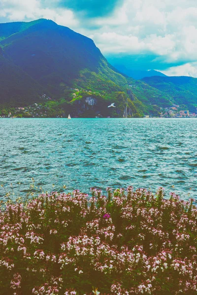 Botanical garden promenade in Lugano in Ticino of Switzerland — Stock Photo, Image