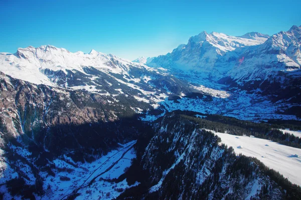 Grindelwald vallei met Grindelwald vallei met Jungfrau Eiger, Monch — Stockfoto