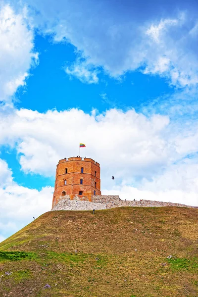 Gediminas toren op heuvel in de oude stad Vilnius — Stockfoto